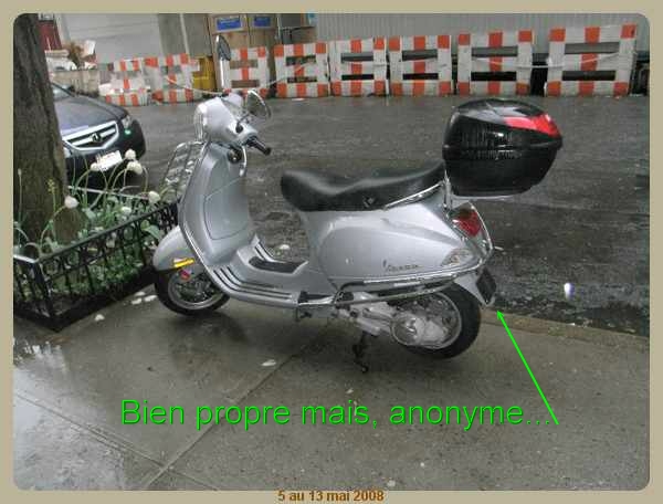 RIMG0276.jpg