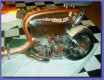 Thumbs/tn_PICT0955.jpg