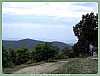 PICT1448.jpg